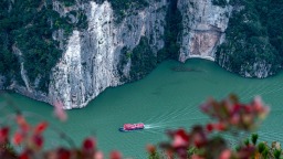 重慶巫山紅葉紅了 一覽三峽獨有秋冬盛景