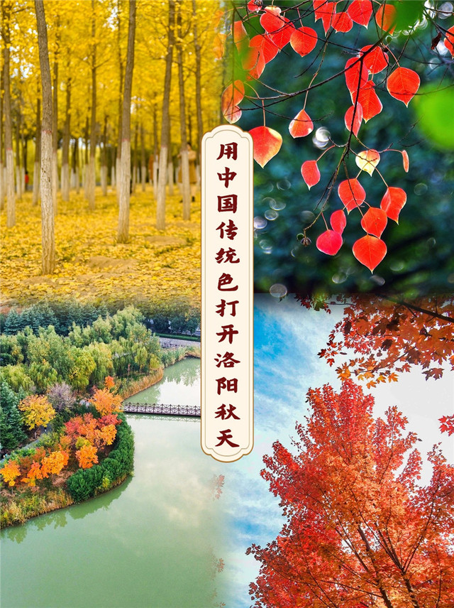美不勝收！在中國傳統色裏打開洛陽的秋天