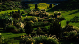 上海辰山植物園裏觀賞草鋪陳出絢麗秋景