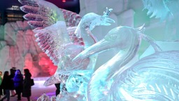 冰雪未消融 世界最大室內冰雪主題樂園重啟