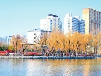 山西太原：樂享春日美好時光