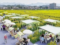 浙江杭州：花田市集熱鬧啟幕