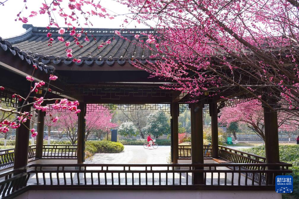 安徽黃山：鶯鳴一兩囀，花樹數重開