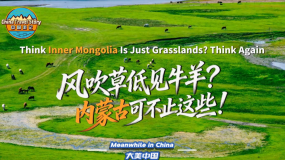 【“中國遊記”第二季㊹】風吹草低見牛羊？內蒙古可不止這些！_fororder_微信圖片_〉〇〉」-〇「-〉」_〈〈〈【《【_〉《《