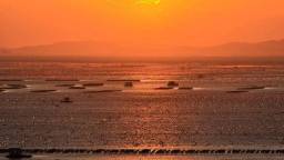 大連長海縣：海洋牧場朝霞美如畫_fororder_917ec159ce0b42b092000fe581ed52cb.1080x607.750x2147483647