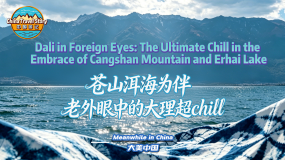 【“中國遊記”第二季㊸】蒼山洱海為伴 老外眼中的大理超chill