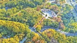 無錫：斑斕初冬