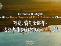 可愛、霸氣全都有，這些中國珍稀動物太“寶藏”了！_fororder_微信圖片_20260331151310_1174_79