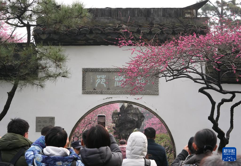 杭州：靈峰探梅