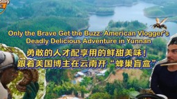 鮮甜美味！跟著美國博主在雲南開“蜂巢盲盒”