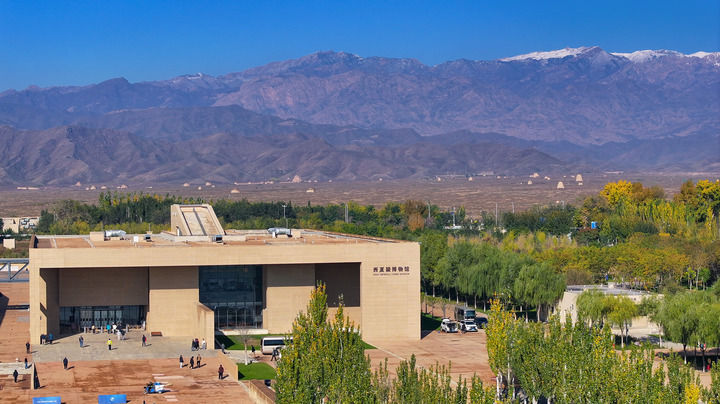 Chinese Museums Use Technology for Immersive Spring Festival Experiences