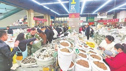 亳州市全力打造“世界中醫藥之都”