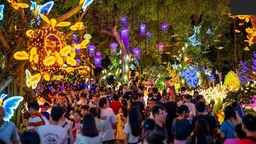 南寧：稅收助力夜經濟，點燃邕城煙火氣