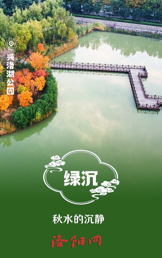 美不勝收！在中國傳統色裏打開洛陽的秋天