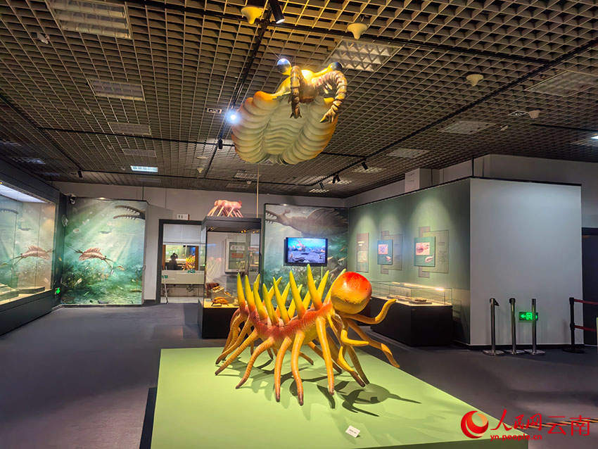 569塊寒武紀化石首次進京集中展出