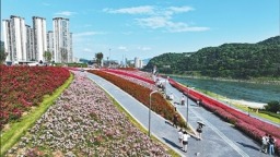 四川宜賓：岷江畔，從工廠圍江到花海綻放