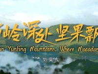 【從雲南出發】雲嶺深處 堅果飄香_fororder_微信圖片_〉〇〉」-〇《-〈【_〇【「【「〇_《」》