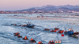 山東榮成：海上養殖作業忙