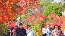 天津：賞紅葉 正當時