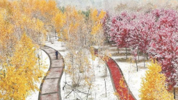 黑龍口綏化：五花秋色雪來伴