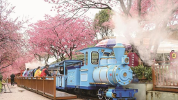 高品質書寫革命老區鄉村振興“龍岩答卷”