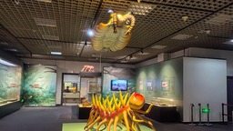 569塊寒武紀化石首次進京集中展出