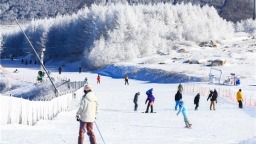 冰雪熱潮席捲南北 湖北神農架、宜昌等地成東南亞遊客新寵