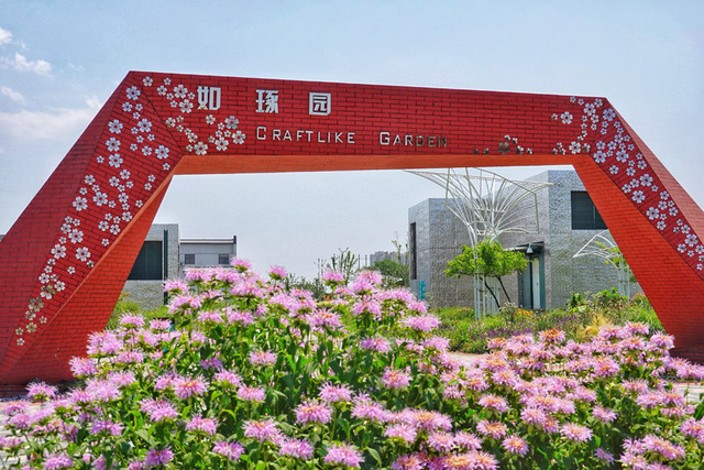 小花朵大産業 為首都花園城市添“花樣”