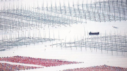 福建霞浦海上秋耕圖_fororder_微信圖片_〉〇〉「-〈〇-《〈_〇』「〈〉【_」「「