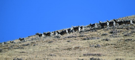 青海玉樹：源起之地 山水交融的傳奇畫卷