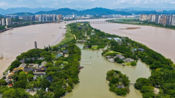 浙江溫州：甌江“碧玉”煥新韻