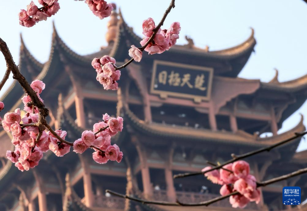 安徽黃山：鶯鳴一兩囀，花樹數重開
