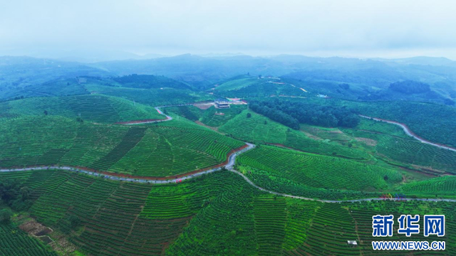 雲南景洪：“黎明之城”邁進旅居時代