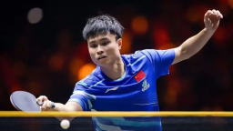 WTT球星挑戰賽多哈站：國乒包攬男單冠亞軍