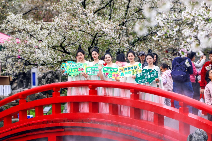 2025信陽文旅宣傳推廣活動(武漢專場)成功舉辦_fororder_在武漢東湖櫻花園推廣信陽旅遊(新縣文化廣電和旅遊局供圖)