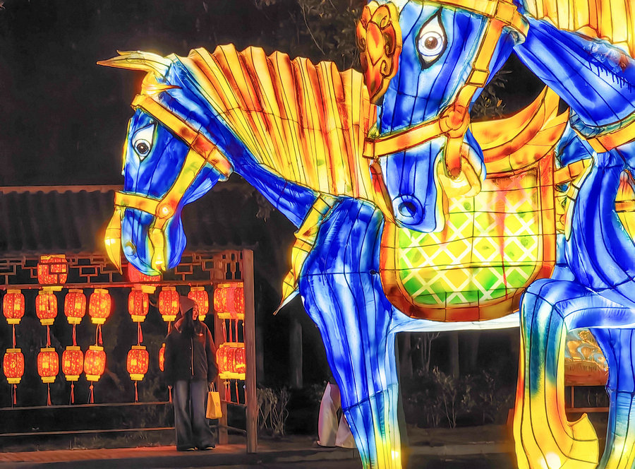 洛陽元宵氛圍拉滿!隋唐城遺址植物園裏賞花燈看打鐵花 流光溢彩鬧佳節