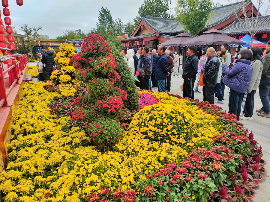 菊香開封_fororder_630249