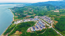 追青逐綠 大美中國 | 碧水青山間的“西峽答案”與“淅川路徑”