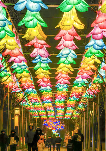 洛陽元宵氛圍拉滿!隋唐城遺址植物園裏賞花燈看打鐵花 流光溢彩鬧佳節