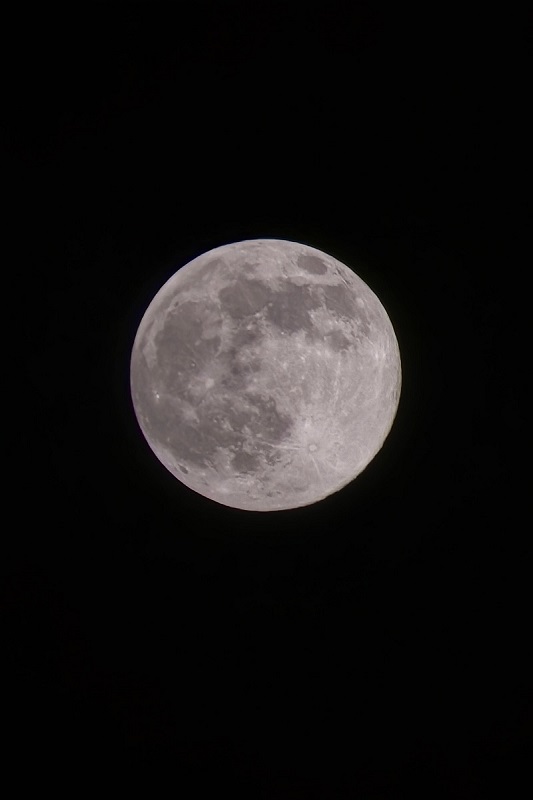 “超級月亮”現身夜空 “超級月亮”現身夜空_fororder__cgi-bin_mmwebwx-bin_webwxgetmsgimg__&MsgID=4431383631445053947&skey=@crypt_c93c024a_1109122aab50a29eb31dd582510f3912&mmweb_appid=wx_webfilehelper