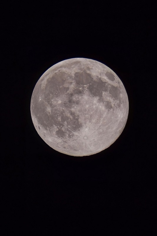 “超級月亮”現身夜空 “超級月亮”現身夜空_fororder__cgi-bin_mmwebwx-bin_webwxgetmsgimg__&MsgID=6115052434328681713&skey=@crypt_c93c024a_1109122aab50a29eb31dd582510f3912&mmweb_appid=wx_webfilehelper