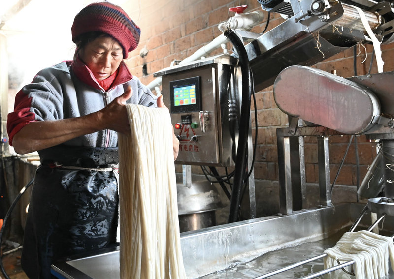 信陽市新縣：“冬閒”變“冬忙” 手工粉條富農家_fororder_村民正在製作紅薯粉條（焦漢平 攝）