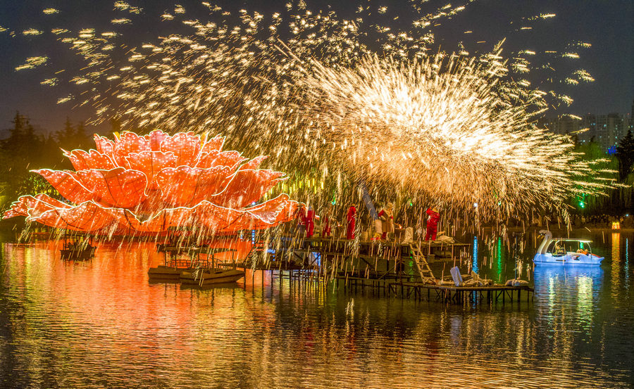 洛陽元宵氛圍拉滿!隋唐城遺址植物園裏賞花燈看打鐵花 流光溢彩鬧佳節