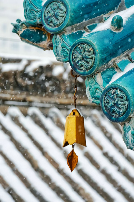 Z視覺 | 落雪覆飛檐 這份中式浪漫藏不住了_fororder_3b7b3cad5d1540cda8a3b51e6159a586