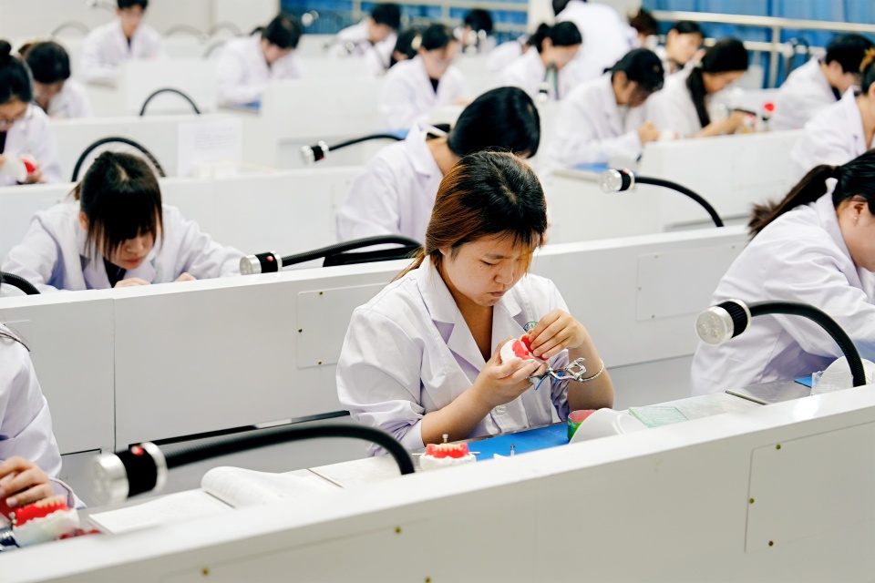 讓千年岐黃重煥生機！50余家媒體記者點讚鄭州醫藥健康職業學院職教高招