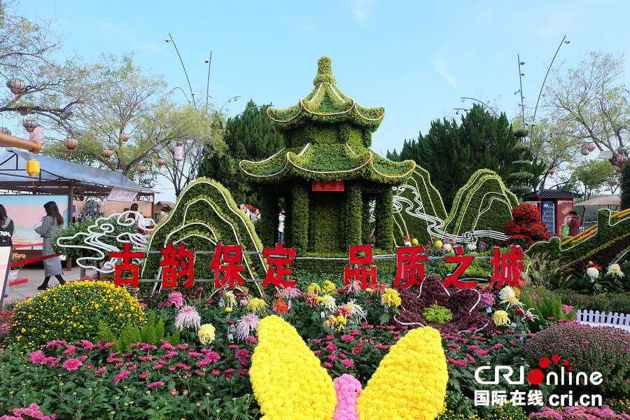 第十五屆中國菊花展覽會在開封開幕 煥活古都文旅新活力_fororder_DSCF3438.JPG