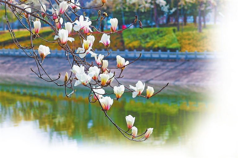 植此青綠染中原——河南省春季植樹造林綜述