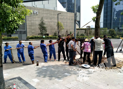 【區縣聯動】【江北】江北：積極應對強降雨天氣 做好抗災救災工作