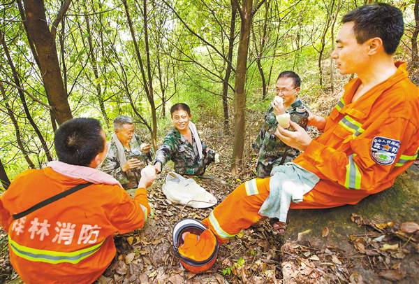 【焦點圖】烈日下的青山守護者