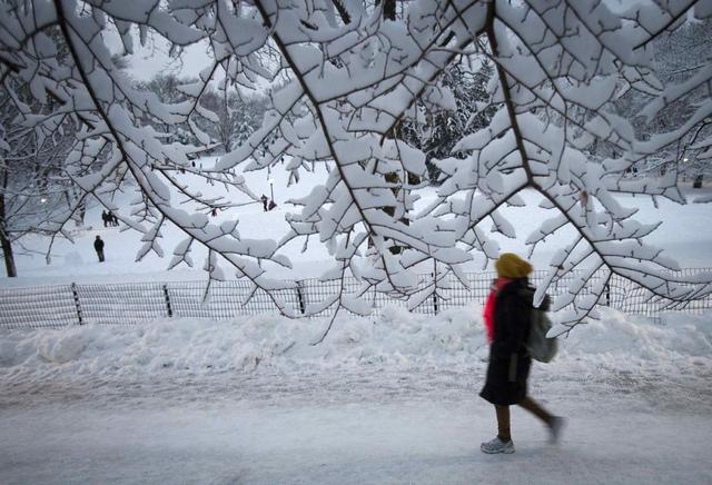 暴風雪襲擊美國東部 紐約市進入緊急狀態
